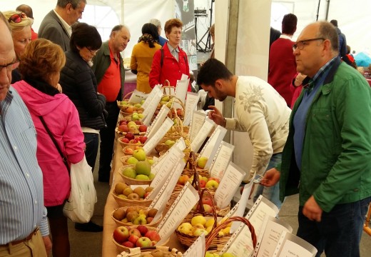 A AGFA do Eume leva a froita de San Sadurniño aos principais eventos agrogandeiros da provincia